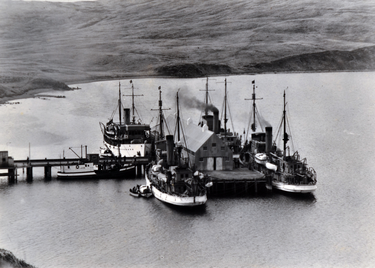 Coast and Geodetic Survey Ships SURVEYOR, PIONEER,DISCOVERER, and GUIDE at Dutch Harbor
