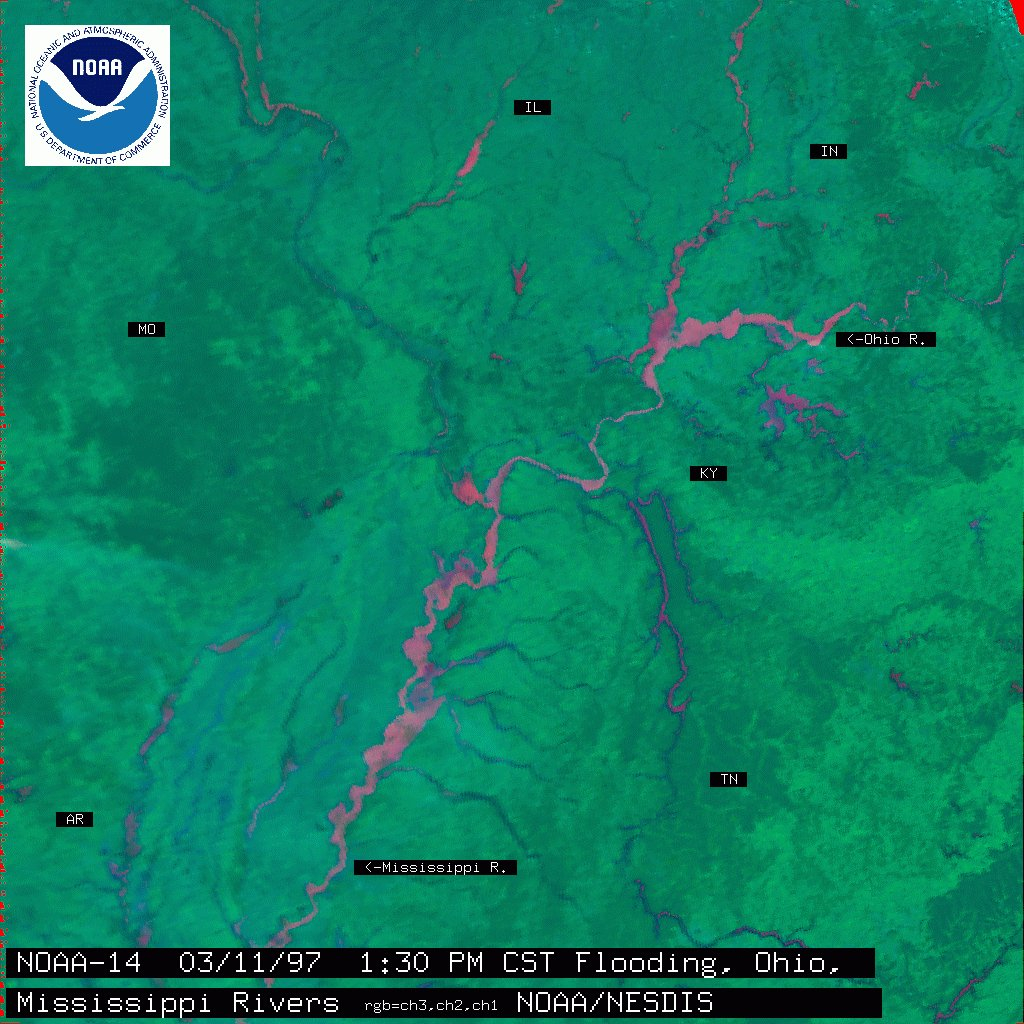Flooding along the Ohio and Mississippi Rivers,