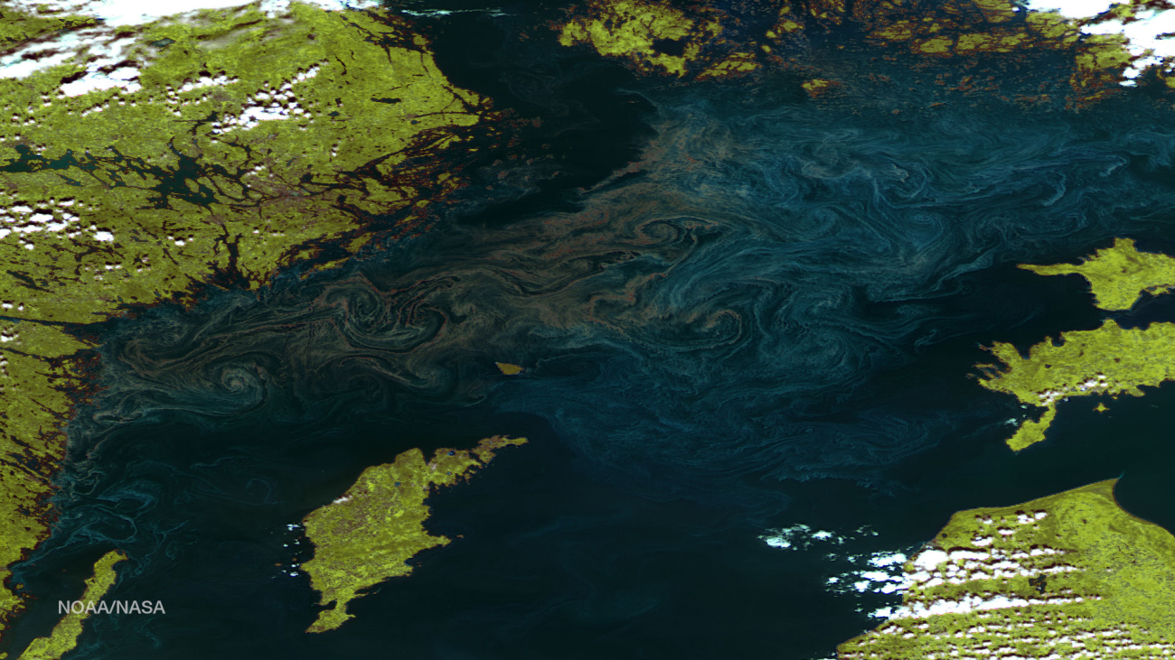 Plankton blooms swirling in the Baltic Sea image by Suomi NPP satellite