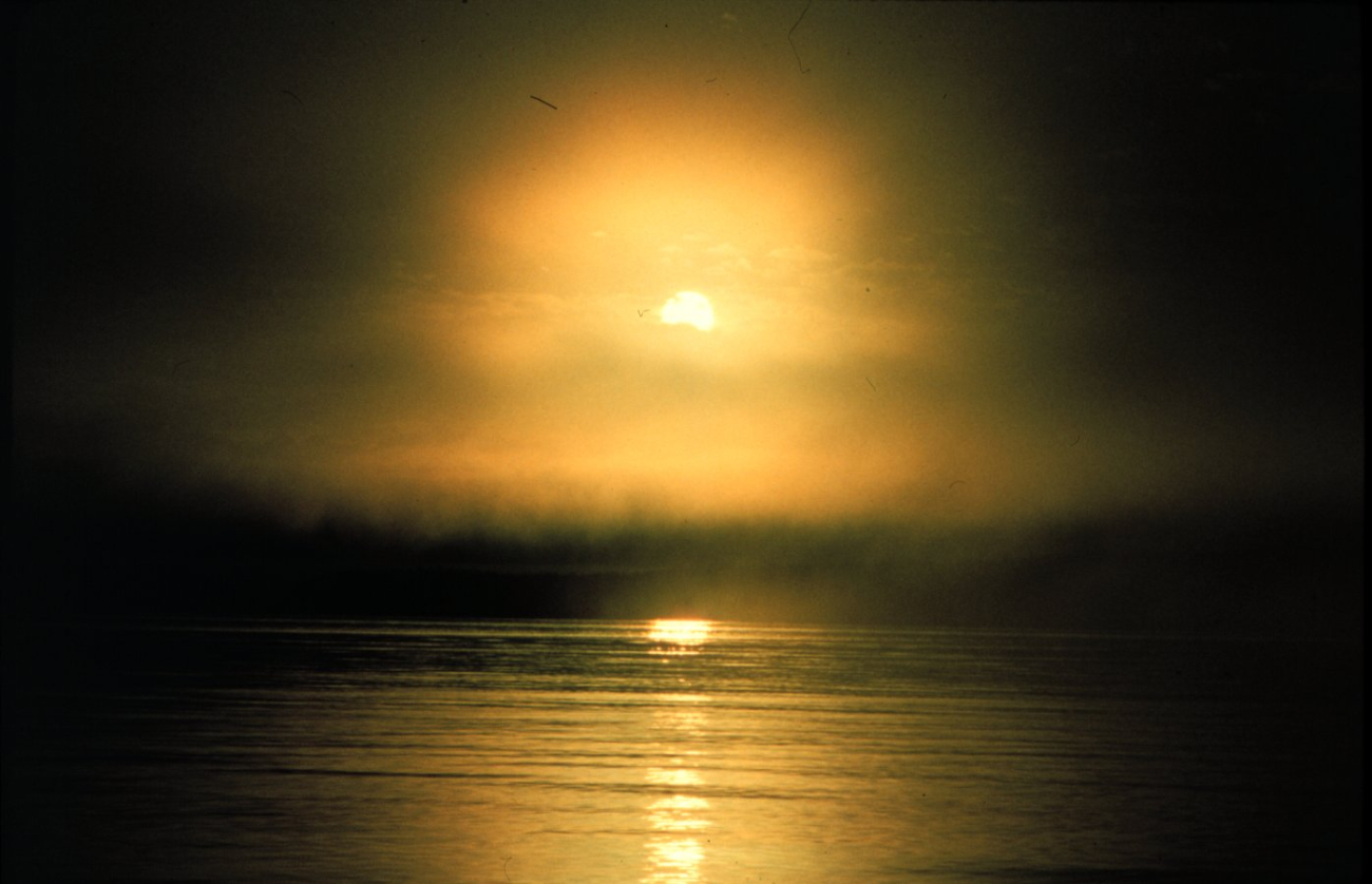 Sun rising through the fog on the Mendocino coastline