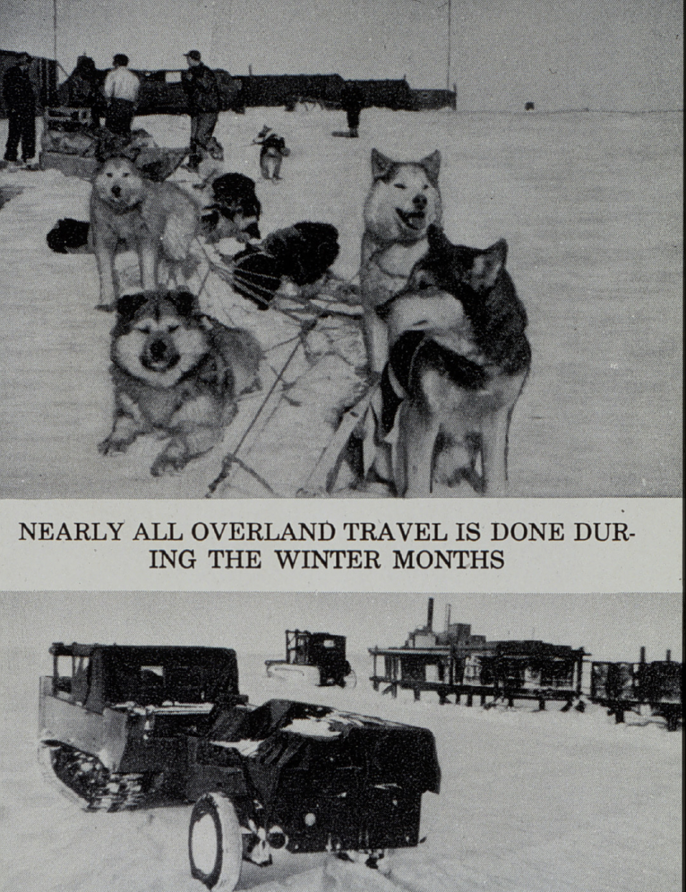 Dog sled and cat train used by Arctic Field Party
