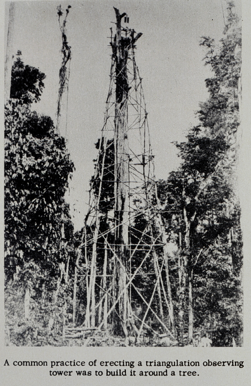 Tower built around tree in the Philippine jungle