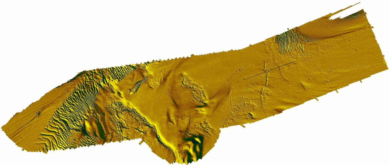 Shaded relief model of seafloor showing pronounced sand wave field on left ofimage