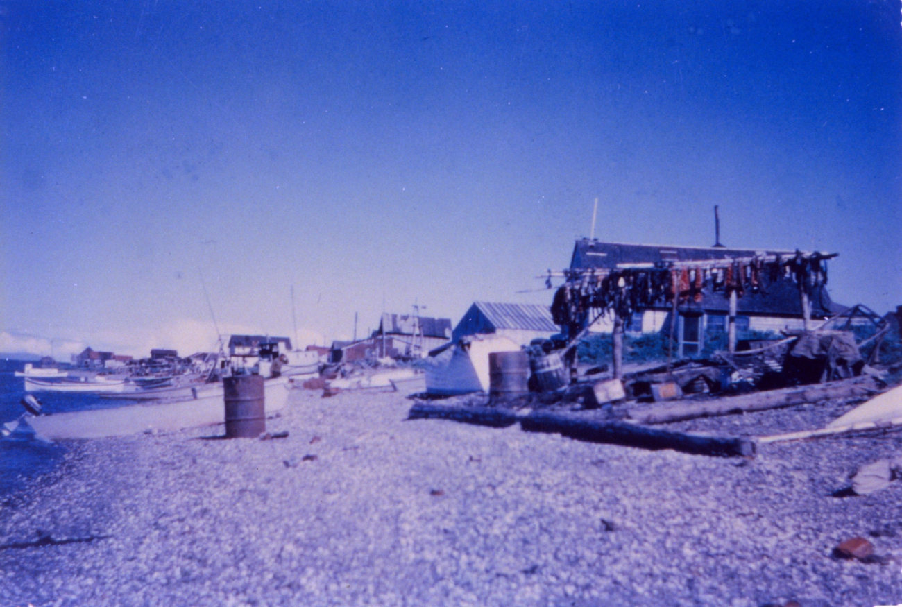 Kotzebue oceanfront property with seal meat drying on racks