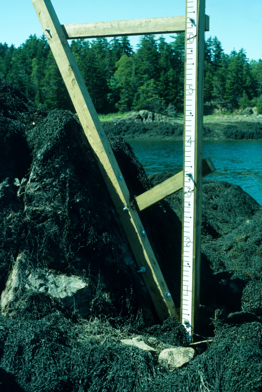 A closeup of the upper tide staff of the two overlapping staffs in the previouspicture