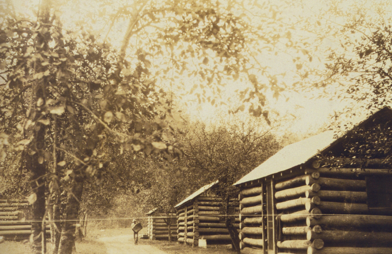 Tourist cabins used as living quarters for level crew in western Appalachia