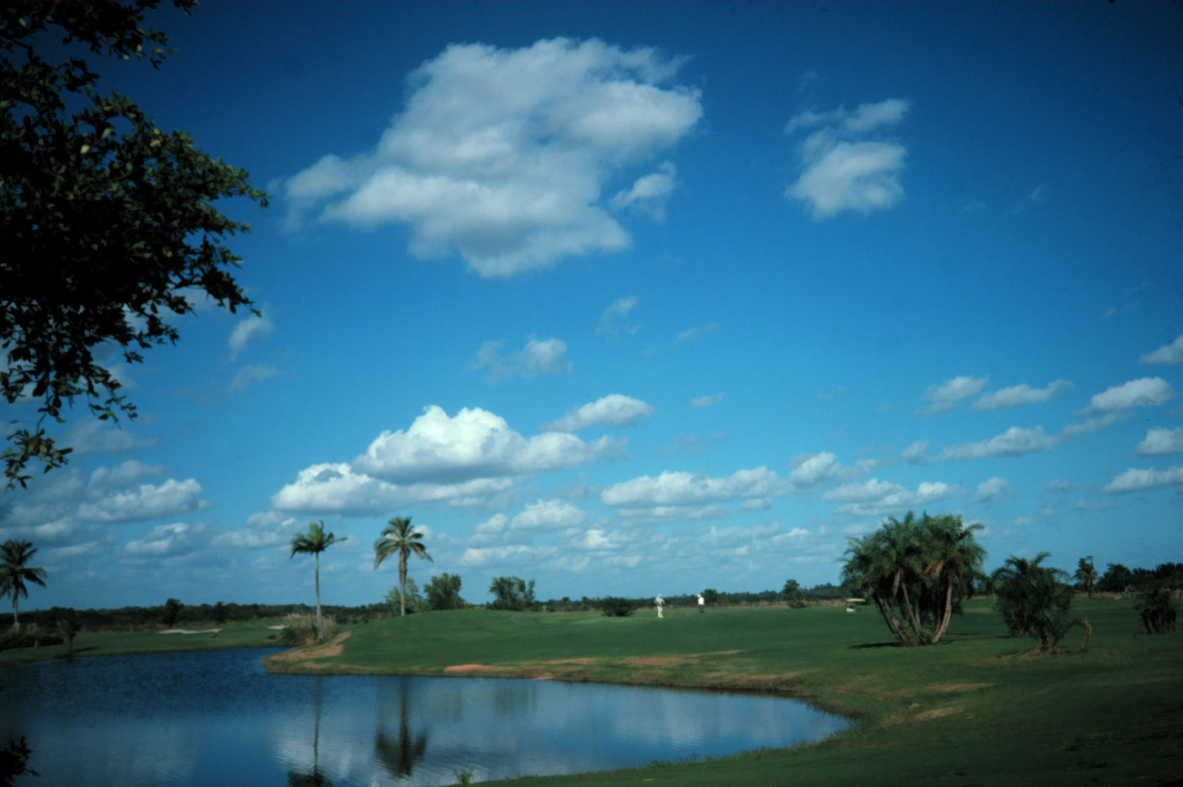 Fair weather cumulus