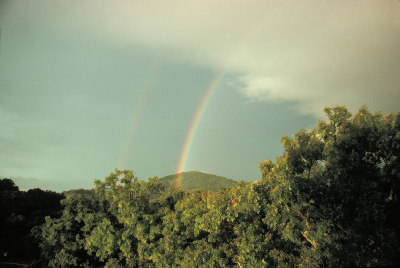 A primary and secondary rainbow - note reversal of spectrumReversal caused by second bow being produced by 2 internal reflections