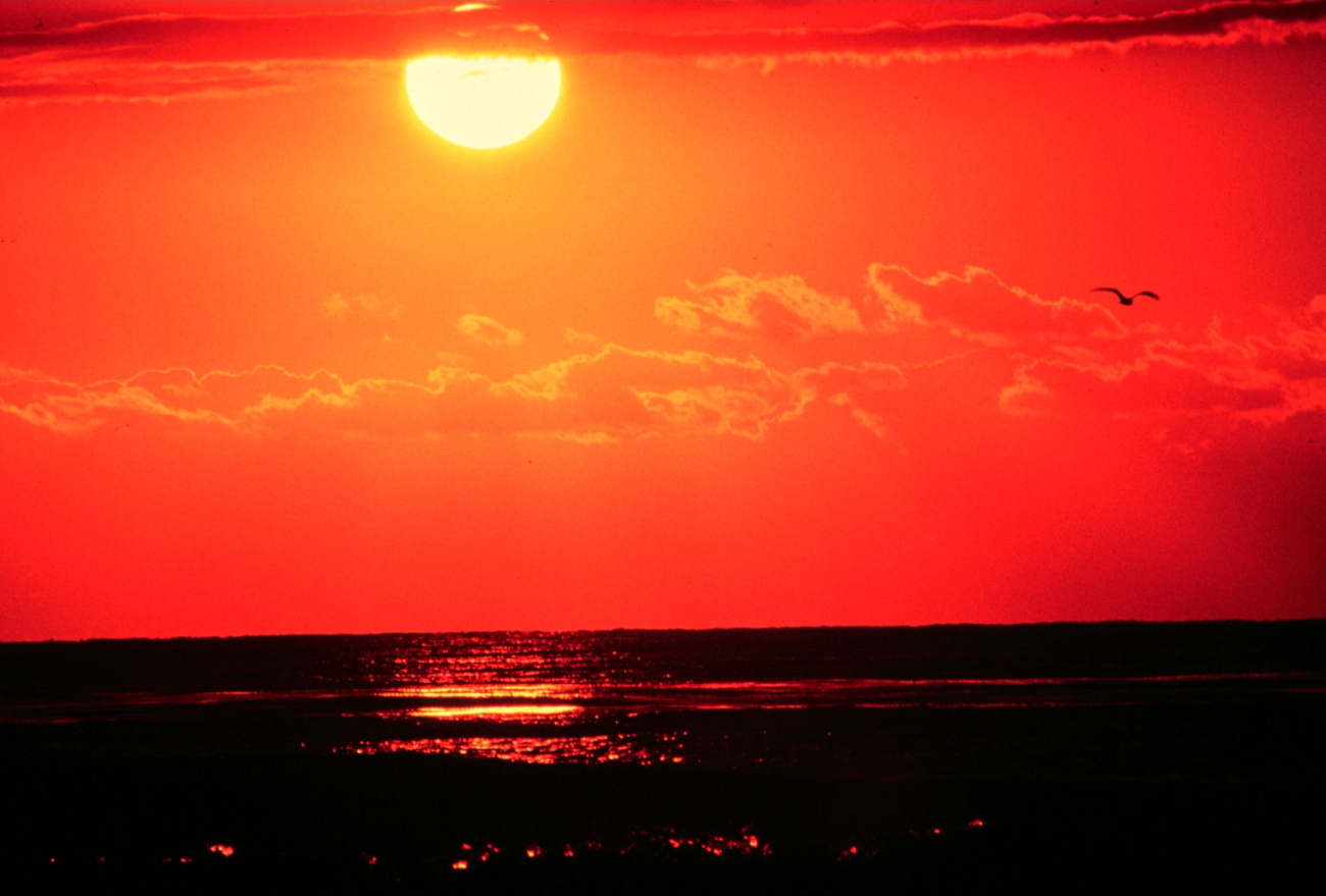 Sunset on a golden sea