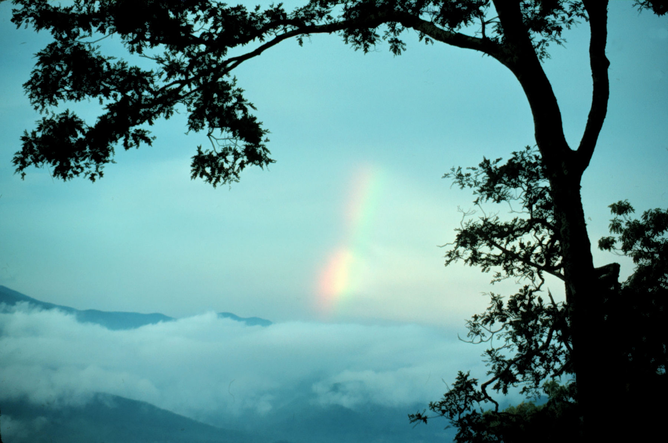 A diffused rainbow due primarily to variable drop sizes