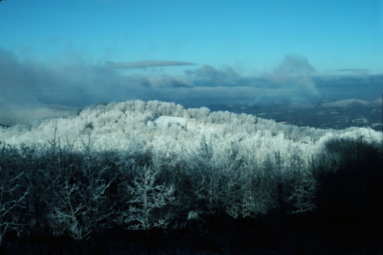 Snow and rime ice covering the Smokies