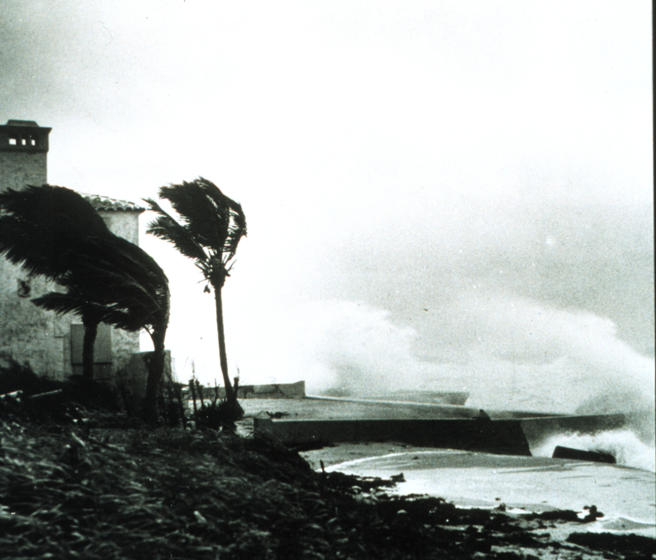 High waves caused by hurricane
