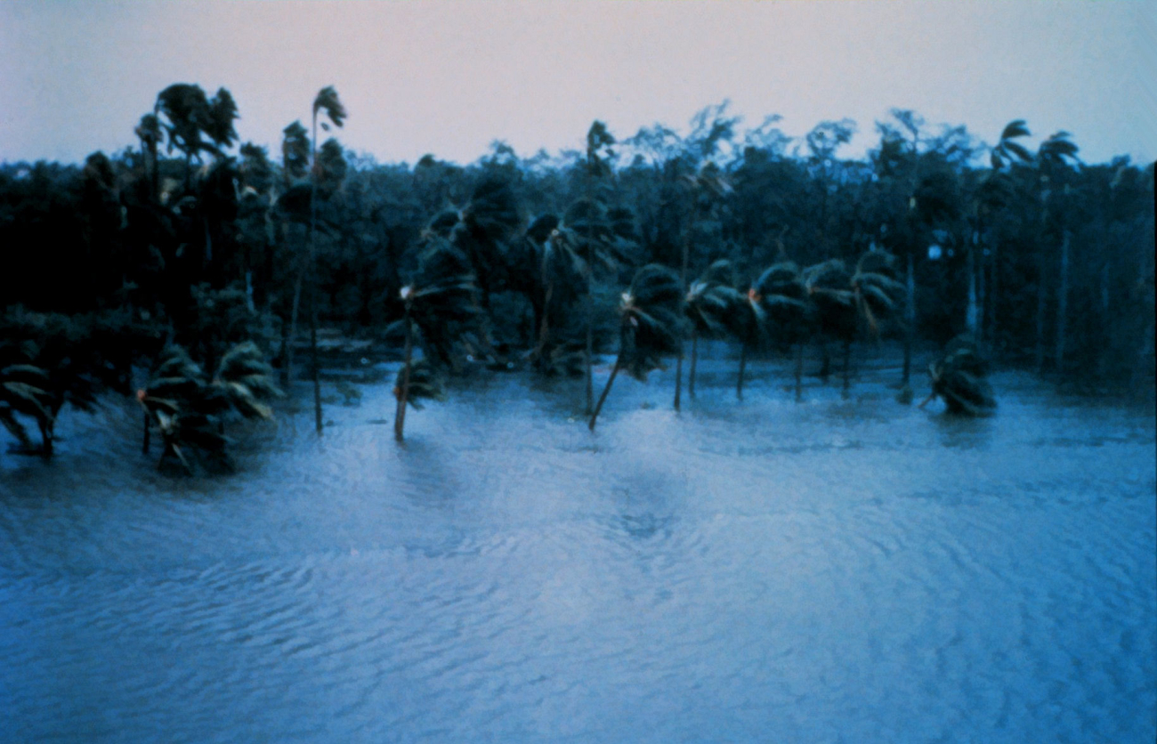 Hurricane Andrew -Sewell Park at the mouth of the Miami RiverJust after daybreak on August 24, 1992