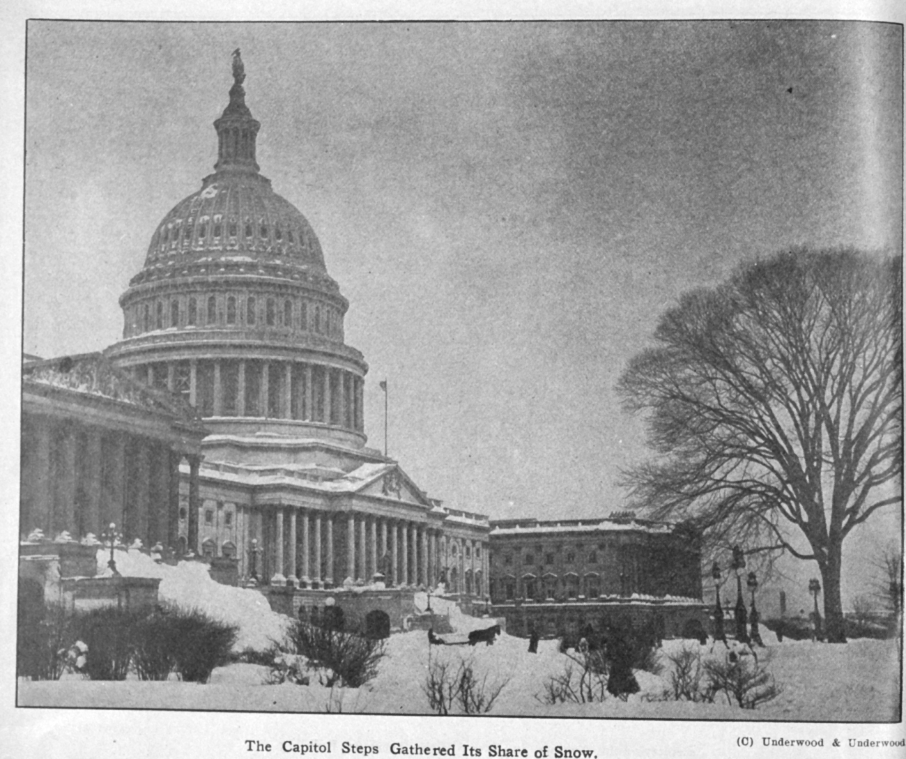 The Capitol steps gathered its share of snow during the Knickerbocker storm