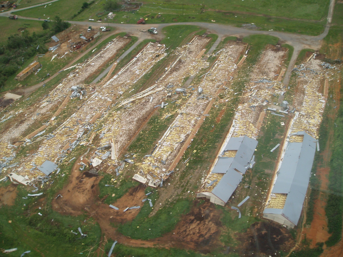 Chicken houses destroyed on Mountain Home Road on the Polk/Floyd Countyline