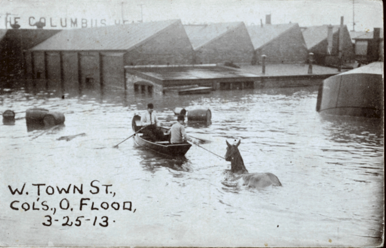 Row boat leading a horse to safety on West Town Street