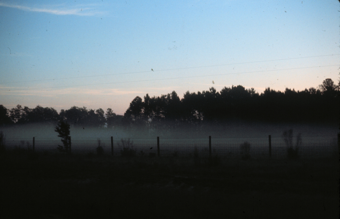 Early morning ground fog