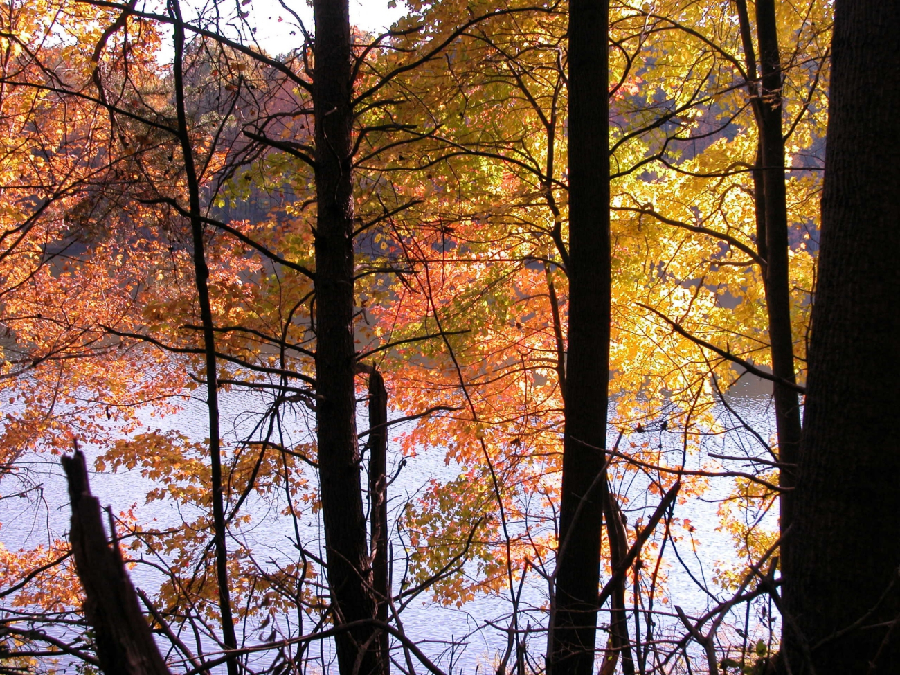 Clopper Lake as seen through autumn colors