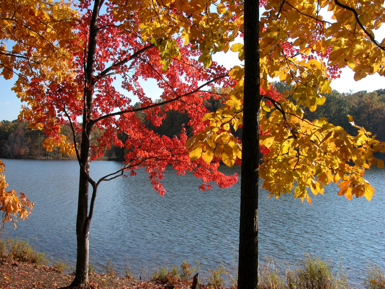 Autumn colors on Clopper Lake