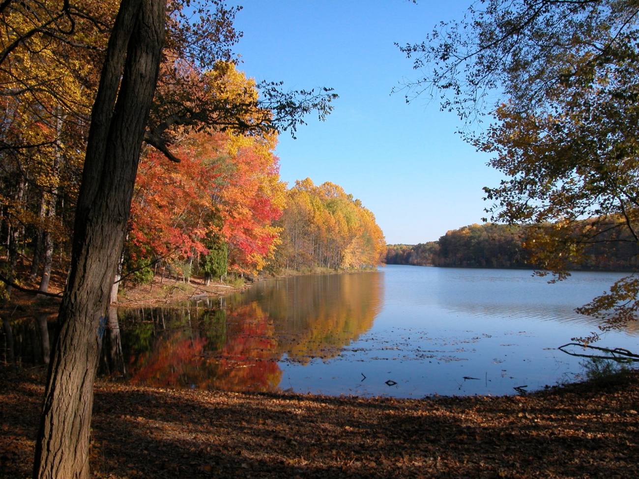 A quiet cove on Clopper Lake on an autumn afternoon