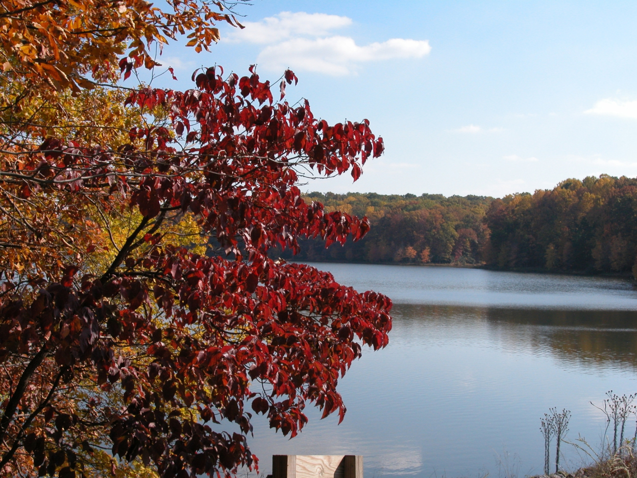 A fall afternoon on Clopper Lake
