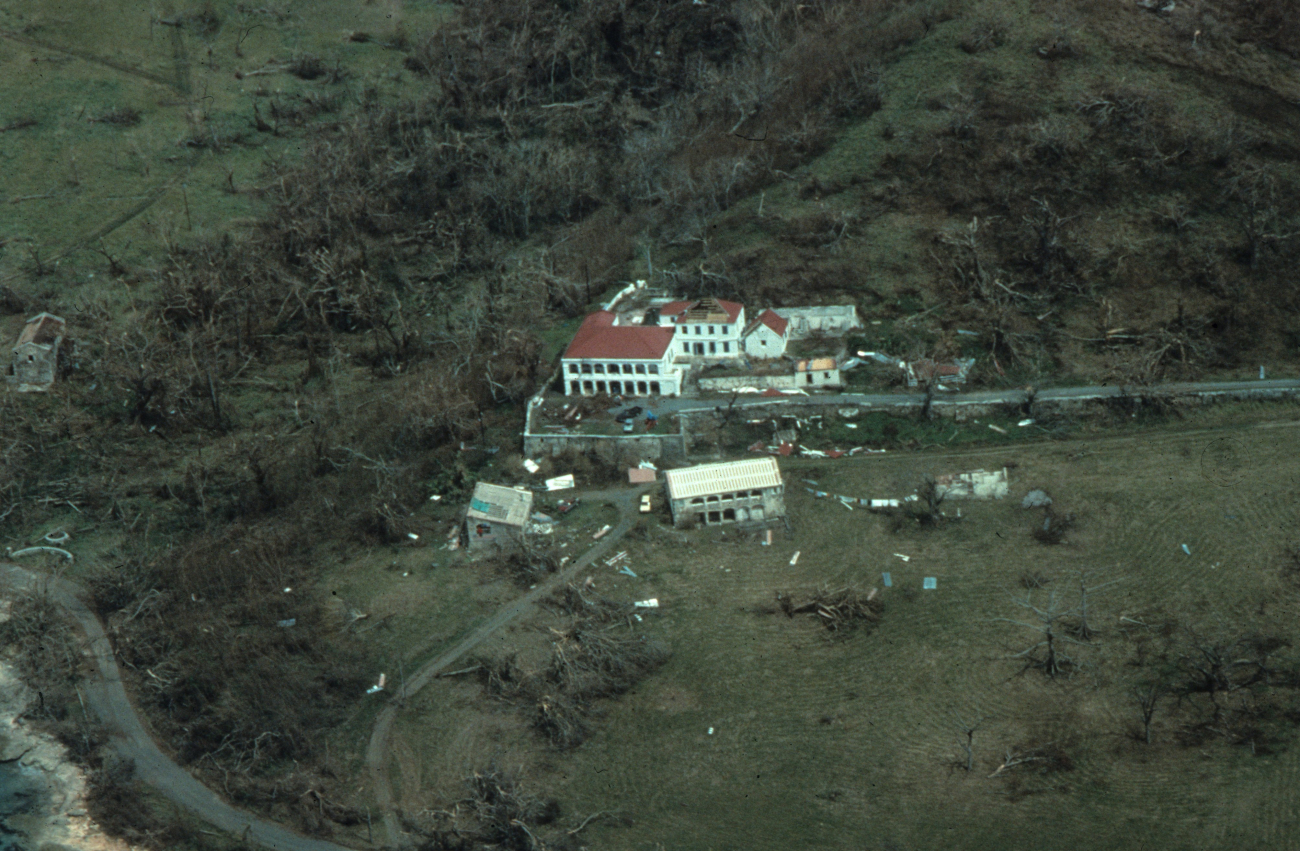 Complete devastation of trees and damage to large house or hotel