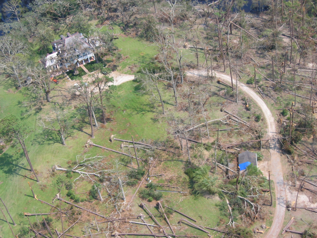 Thousands of downed trees following Hurricane Katrina