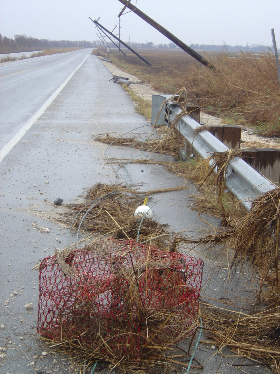 Crab pot on road after passage of Hurricane Rita