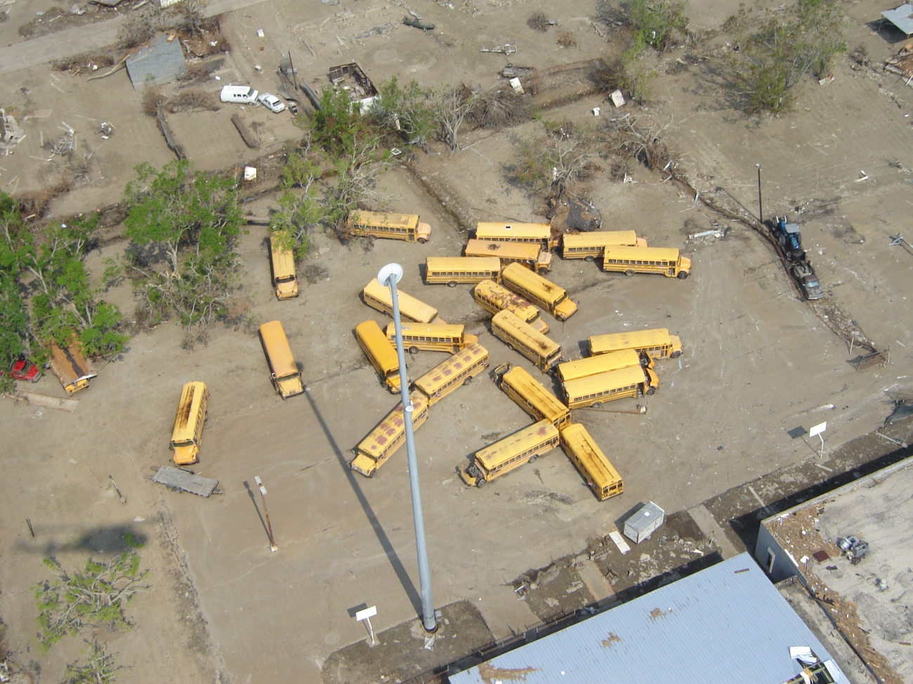School buses along the Mississippi River re-positioned by Hurricane Katrina