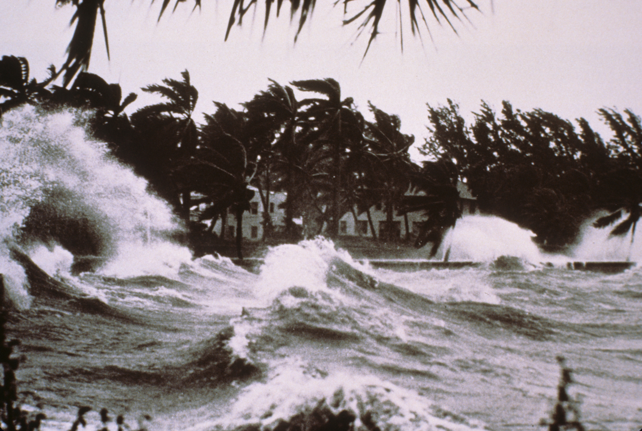 Tropical storm waves batter a palm-tree graced shoreline