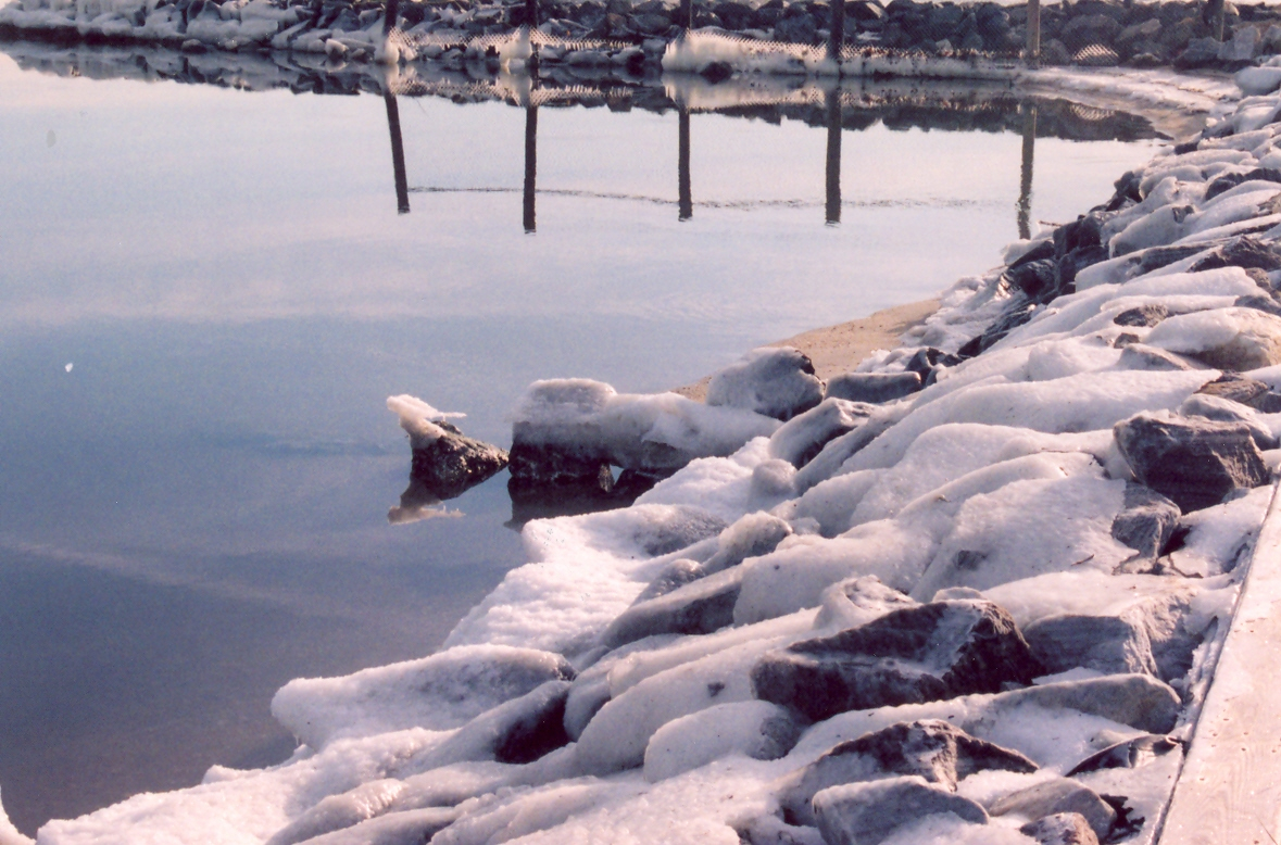 Icy rock revetment along the Patuxent River