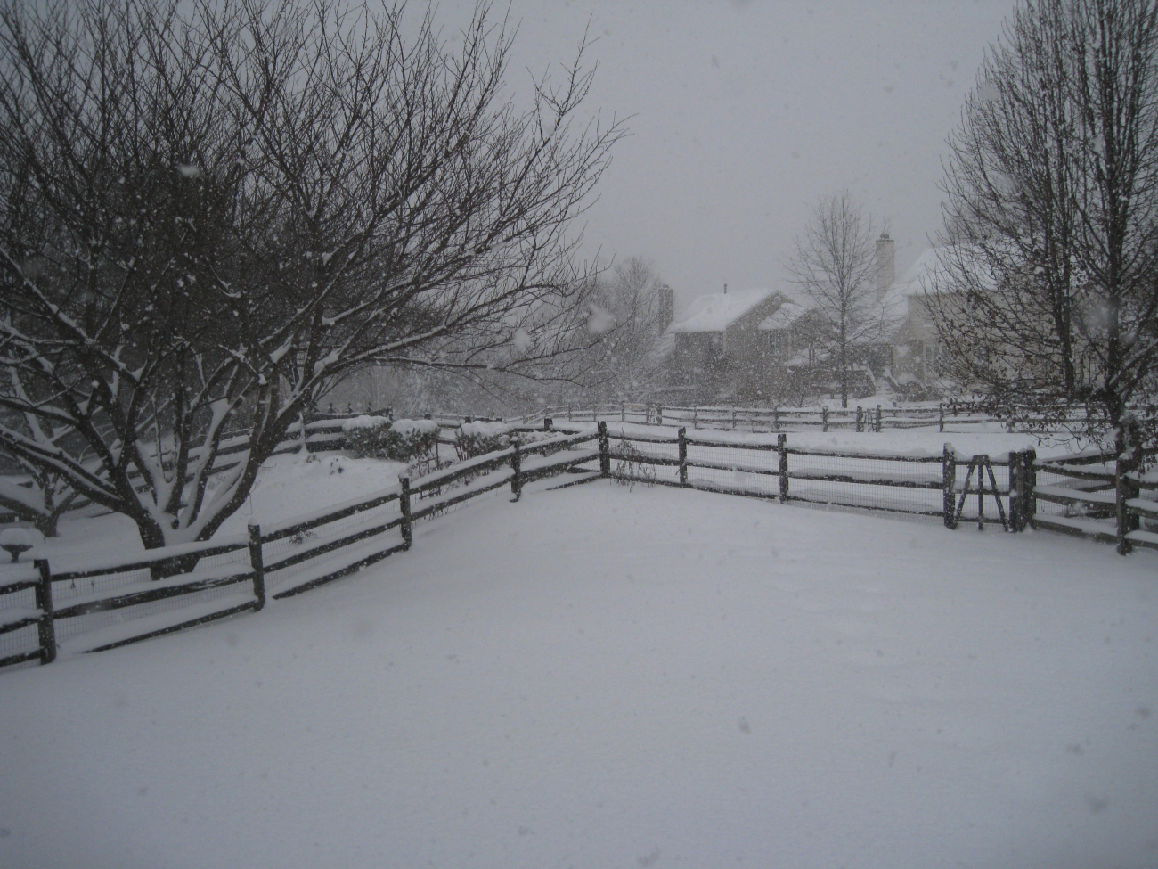 Over a foot of snow had fallen up to this time during the first greatMid-Atlantic snowstorm of the 2009/2010 winter season