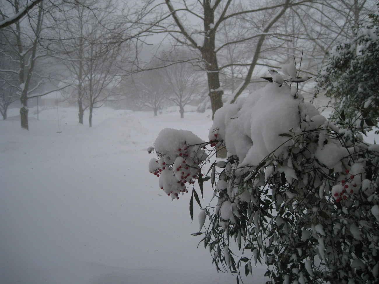 The third great storm of the winter of 2009/2010