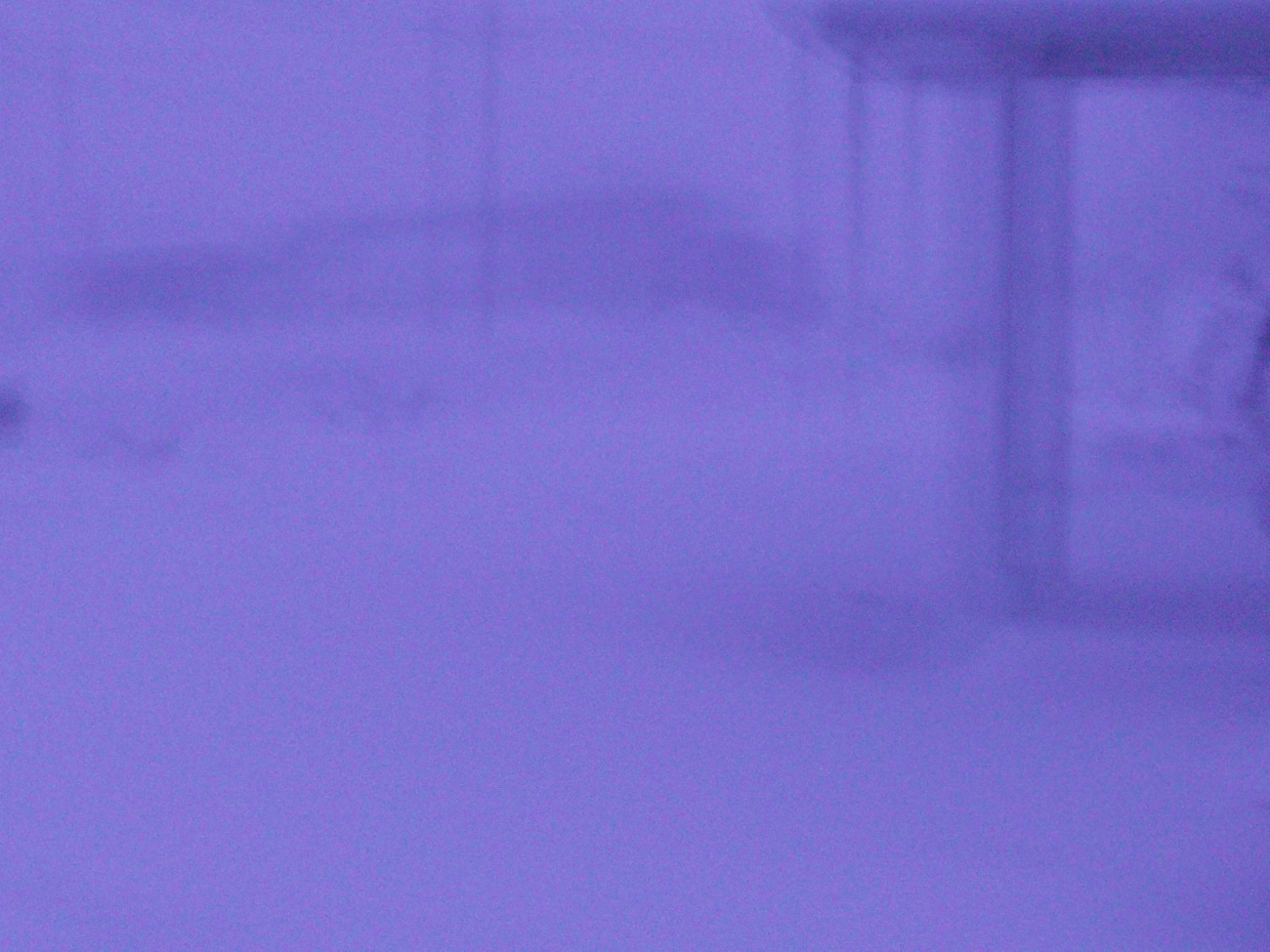 White-out conditions during blizzard