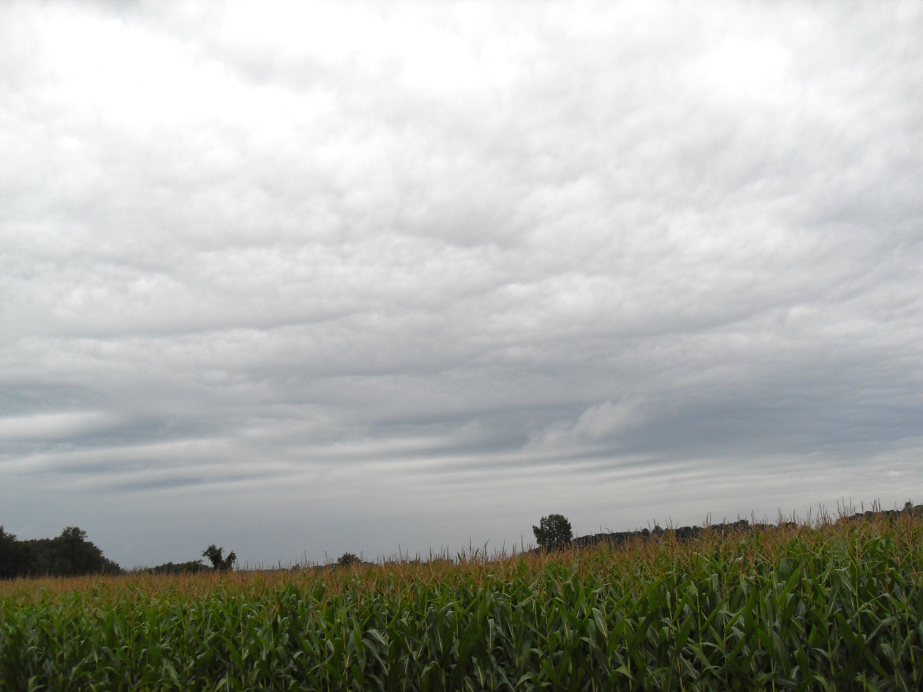 Wave clouds over eastern Wisconsin