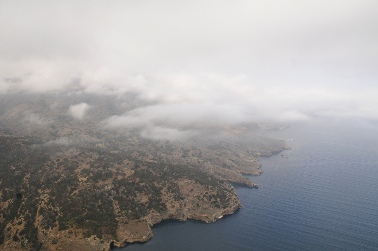 Aerial view of low clouds over the rugged shoreline of Santa Cruz Island