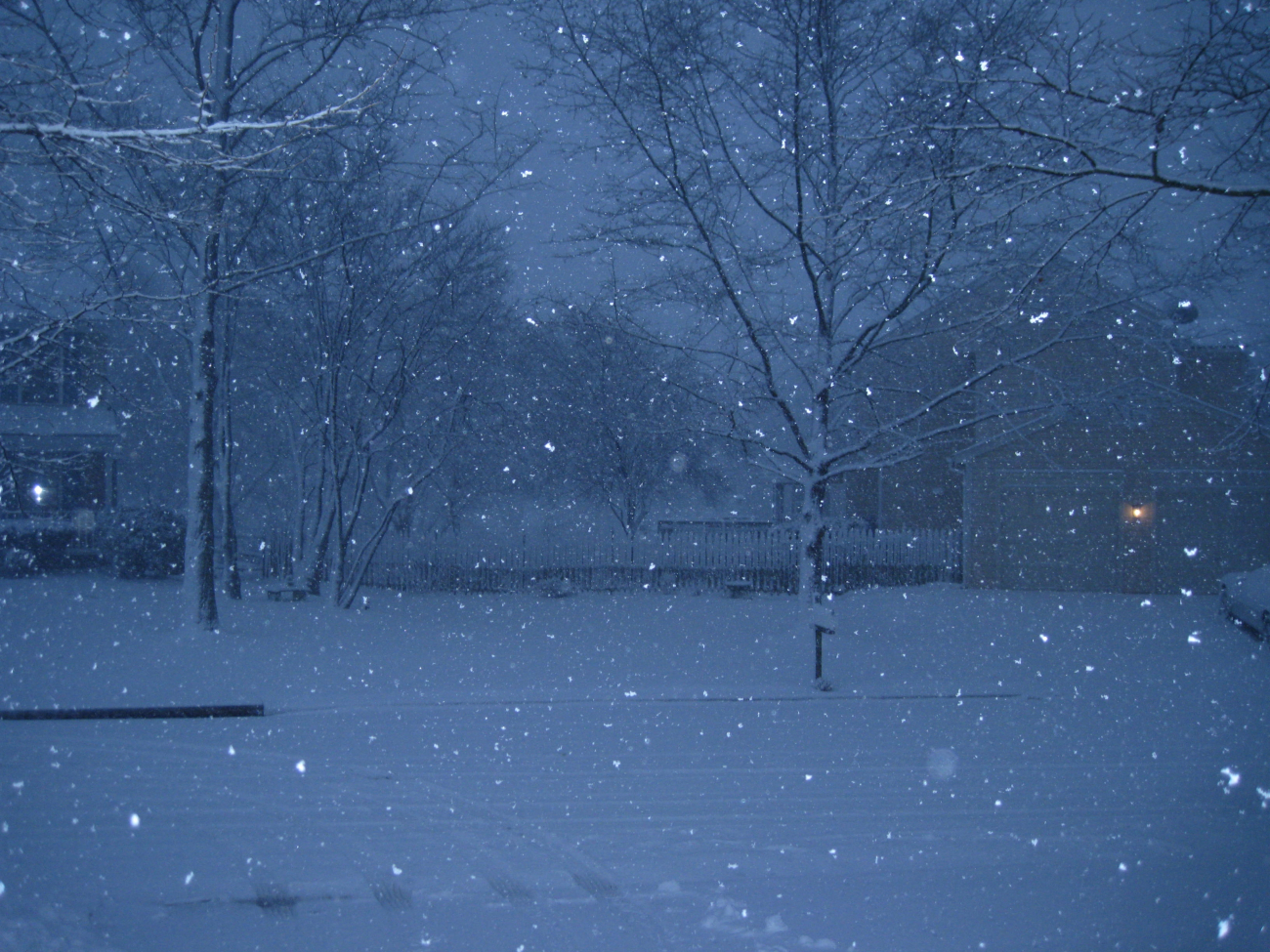 Snow falling on a winter evening