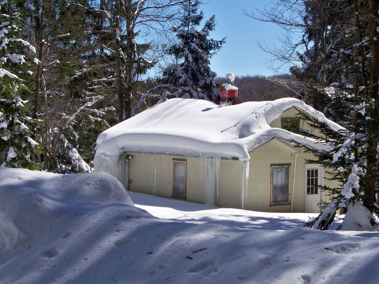 Following record totals of snow in February 2010, a trip to the West Virginiamountains