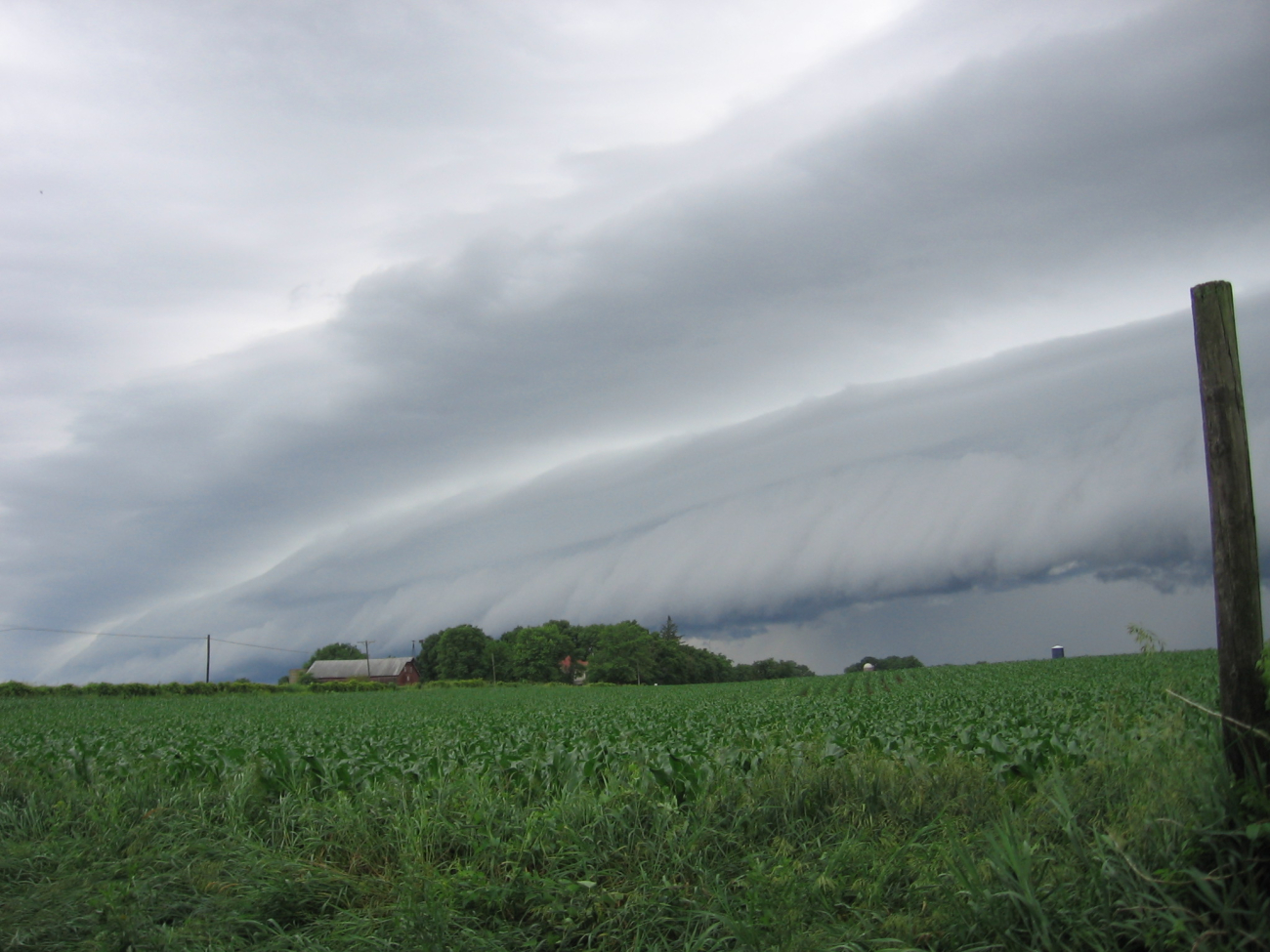 Shelf cloud over NW Illinois