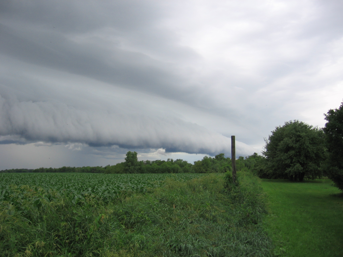 Shelf cloud over NW Illinois