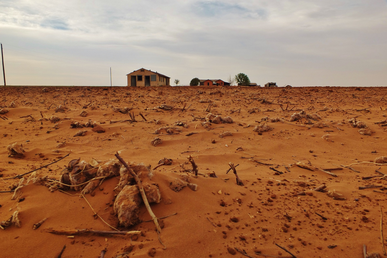 Desolate drought-stricken landscape