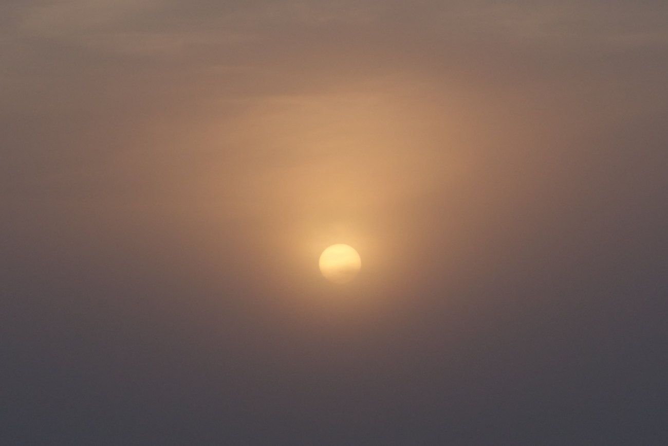 A bronze sunrise seen through the fog on Assateague Island