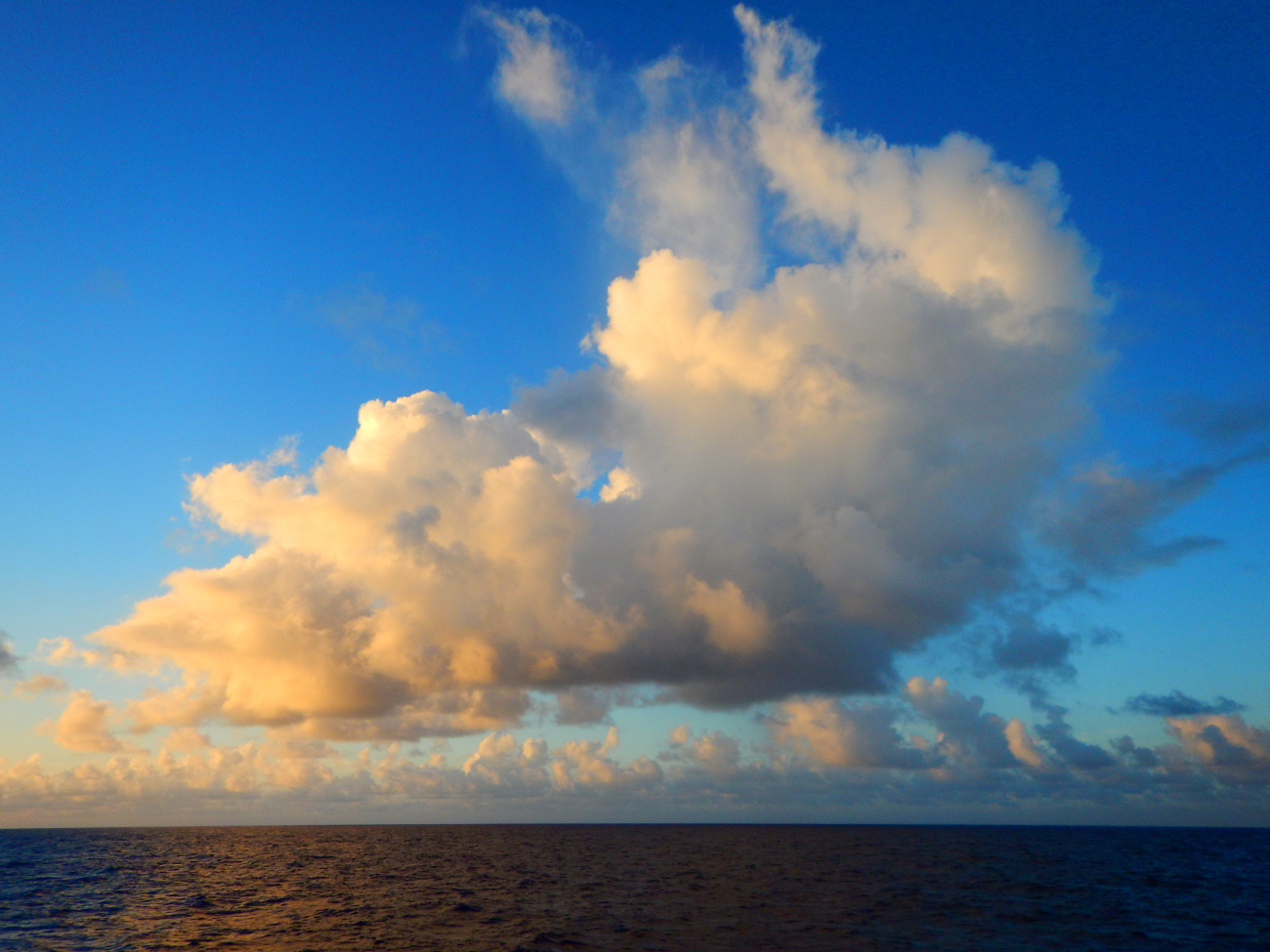 Fair weather cumulus clouds over the tropical western Pacific Ocean