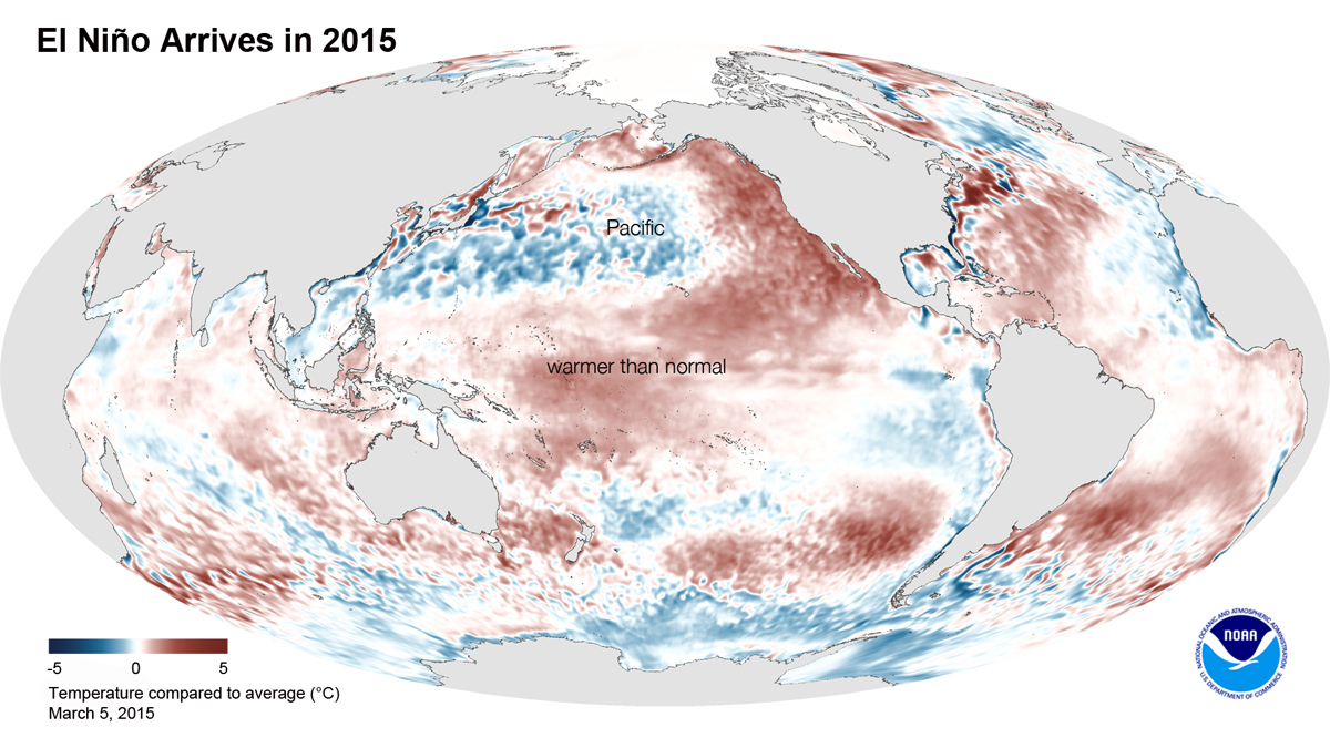 El Nino arrives according to this image of satellite-derived Pacific Oceansurface temperatures
