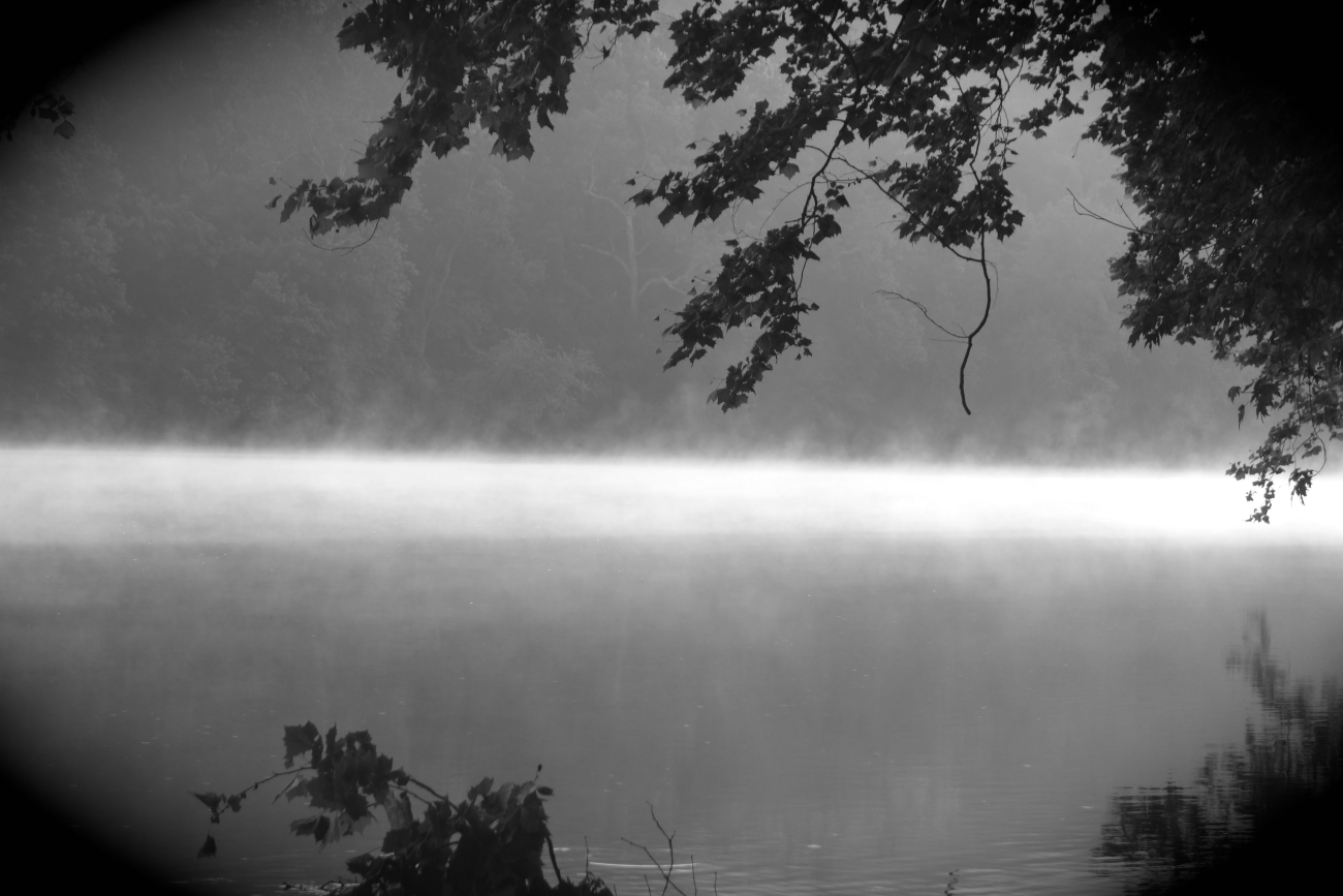 Misty  morning on the Potomac River