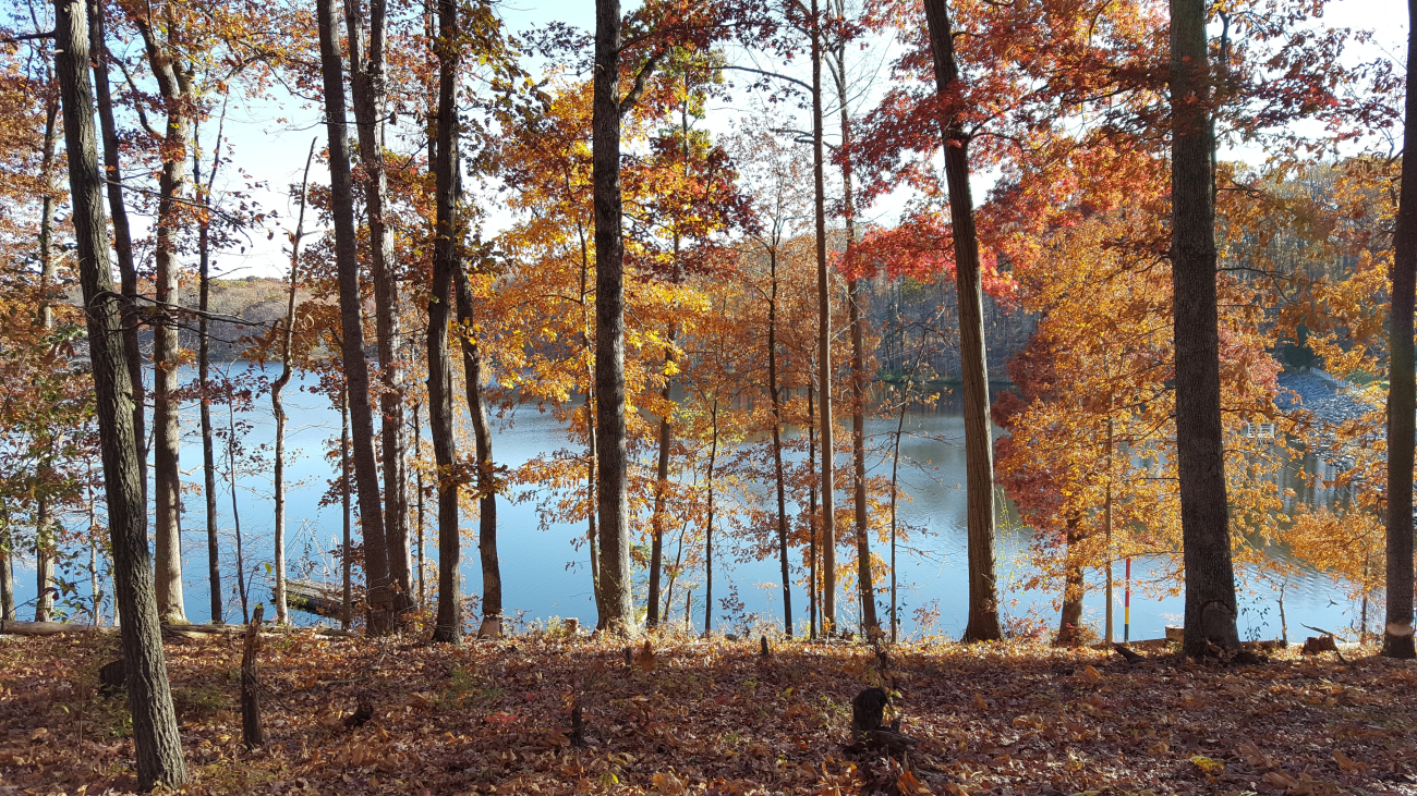Autumn colors at  Lake Seneca