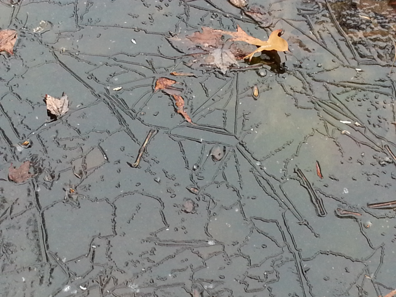 Ice patterns in shallow water