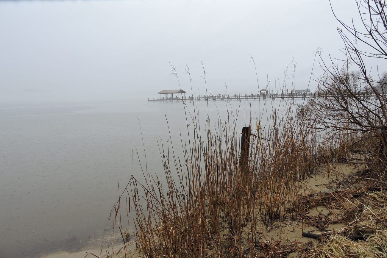 A foggy cold day on the Patuxent River