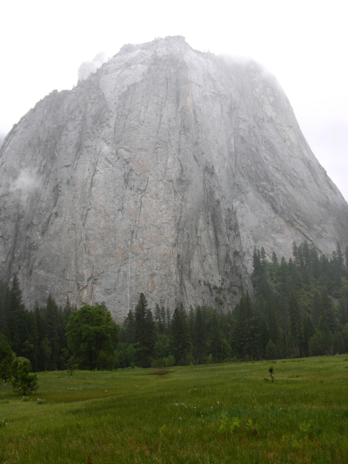 El Capitan rising above a Yosemite meadow