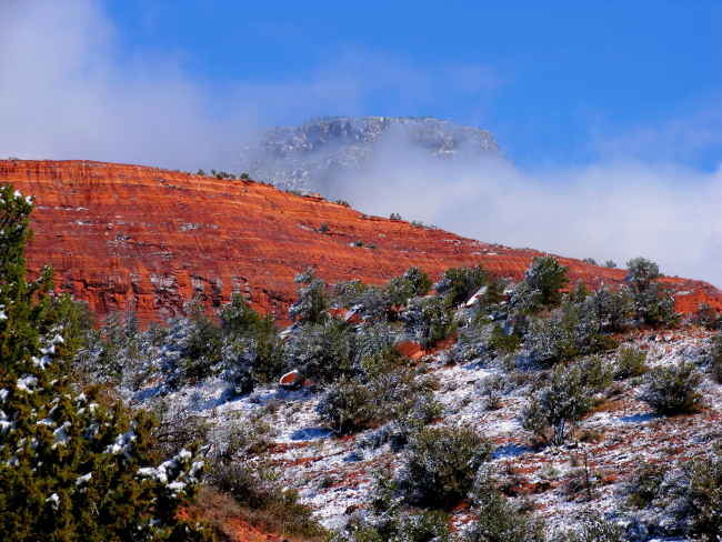 Red sandstone and white snow dusting pinion pines with a high mountainlooming over all through low-lying clouds